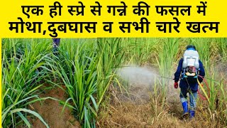 गन्ने के लिए बेस्ट खरपतवार नाशक दवा  ganne me kharpatwaar nashak dawa  sugarcane herbicide  us [upl. by Ahsenet]