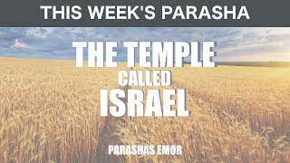 The Temple Called Israel  Rabbi Yaacov Haber  Parshas Emor 5779 [upl. by Marquardt340]