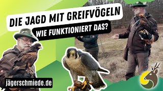 Die Falknerei und Beizjagd  Mach dich fit für die Jagdprüfung Praktischer Jagdbetrieb [upl. by Sibeal]