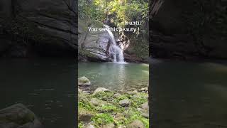 Castara waterfall Tobago caribbean travel tobago trinidad youtubeshorts waterfall outdoors [upl. by Lerak]