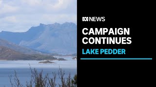 Lake Pedder was dammed 50 years ago for hydro power but could it now be time to drain it  ABC News [upl. by Nemad]