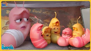 LARVA CARTOONS FULL EPISODE BIG FAMILY  CARTOONS FULL MOVIE  FUNNY CARTOON COMPILATION [upl. by Leidag773]