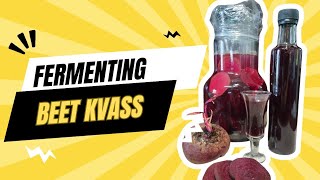 Beet Kvass Recipe [upl. by Tiphani]