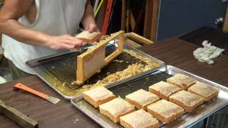 Cutting Comb Honey from the frames Honeybee Comb Honey [upl. by Kendy]