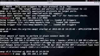 Amap scanning tool in Kali linux [upl. by Tumer]