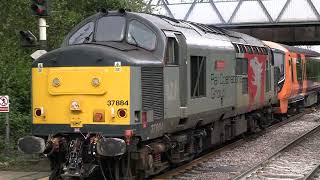 Growler 37884 quotCepheusquot at Melton Mowbray Station for Old Dalby on Thu 11th Apr 2024 [upl. by Earl718]