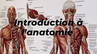 INTRODUCTION A LANATOMIE [upl. by Launamme]