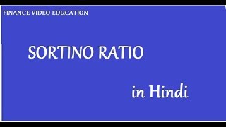 Sortino Ratio in Hindi [upl. by Sigismond]