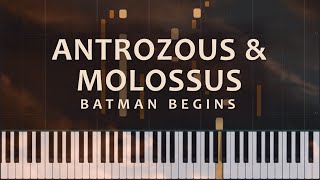 Antrozous and Molossus from Batman Begins by Hans Zimmer and James Newton Howard Piano Tutorial [upl. by Ahsataj56]