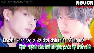 Karaoke Việt  Inst DNA  BTS [upl. by Leik]