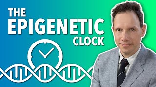 Epigenetic Clock  Dr Steve Horvath  Lifespanio [upl. by Ardni]