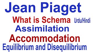 What is Schema What is Assimilation  What is Accommodation Piaget Theory  UrduHindi [upl. by Negah]