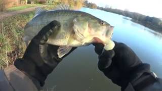 Pêche de carnassiers au leurre souple en étang  Brochet sandre blackbass [upl. by Massimo]