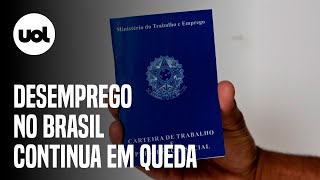 Desemprego no Brasil cai a 83 em outubro com recorde de trabalhadores sem carteira [upl. by Atikahs684]