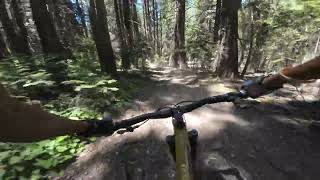 Downieville Downhill Mountain Biking  Juniors [upl. by Ahsilat]