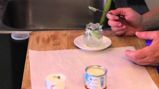 How to Make Wasabi Paste  Delicious Recipes [upl. by Enilekcaj645]