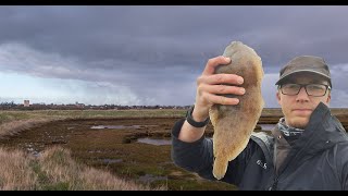 Fishing a Suffolk River  Sole amp Dogfish catch amp cook [upl. by Akkimat]