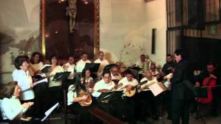 Rondalla Casareña 2014 [upl. by Robertson]