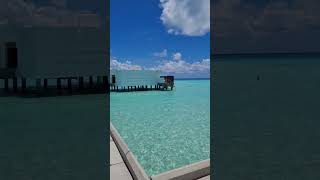 Beautiful Malediven  Riu Palace malediven riuPalace travel travelvlog roadtrip blueocean [upl. by Erland]