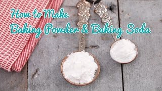 How to Make Baking Powder amp Baking Soda  Gemmas Bold Baking Basics Ep 33 [upl. by Dusty872]