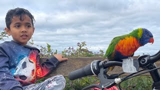 Thornhill Parkbycycle rideIshMelbourne West [upl. by Howund]