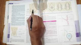 Easy Anatomy of Umbilicus Urdu amp Hindi  Anterior Abdominal Wall [upl. by Cleodell]