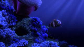 Finding Nemo  quotNemo Eggquot scene in Beautiful HD [upl. by Reivaz]