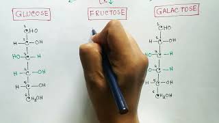 Carbohydrates  Monosaccharides  Glucose  Fructose  Galactose [upl. by Neva]