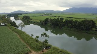 RACQ Foundation  Townsville [upl. by Rukna]