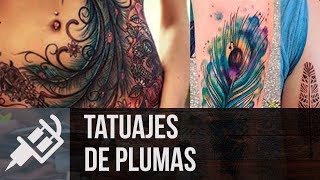 Los mejores TATUAJES DE PLUMAS del mundo [upl. by Cyndia302]