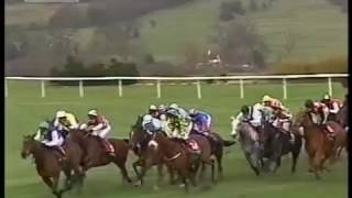 2004 Weatherbys Champion Bumper Standard Open NH Flat Race [upl. by Clemens]