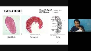 MT 51 Didactics  Parasitology Review Trematodes Part 1 [upl. by Gulgee]