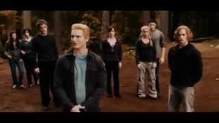 The Cullens vs The Volturi  Twilight Saga Breaking Dawn  Part 2 [upl. by Suter]