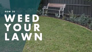 How To Weed Your Lawn  Bunnings Warehouse Howto guide [upl. by Perren]