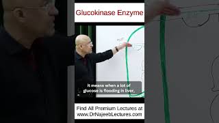 Glucokinase Enzyme shorts shortvideo drnajeeb [upl. by Brosine]