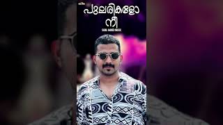 Pularikalo nee Sadil Ahmed Music l Malayalam Film Song Mashup l Cover Superhits Movie Songs [upl. by Leitao]