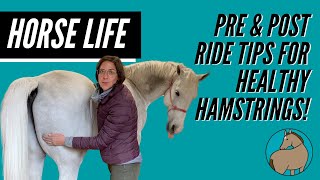 Pre and Post Ride Tips for Healthy Hamstrings  Horse Life  Episode 7 [upl. by Janetta]