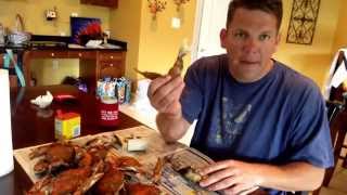 How To Eat Crabs  Best Way To Eat Maryland Blue Crab [upl. by Anaylil]