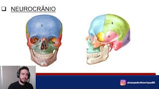 Anatomia dos ossos da cabeça [upl. by Pansy]