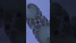 Mandelbrot Set Zoom 1 shorts [upl. by Adnomar949]