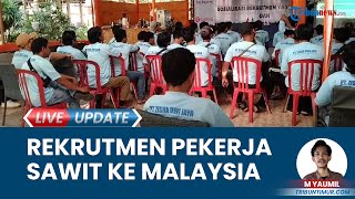 PT Zisra Dwi Jaya Kolaborasi dengan Genting Plantation Rekrut Pekerja Sawit ke Malaysia Tanpa Biaya [upl. by Soiritos]