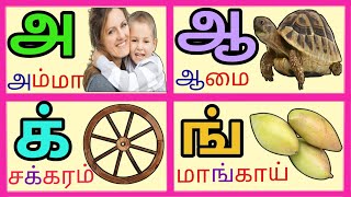 Tamil Uyir Ezhuthukkal amp Tamil Mei Ezhuthukkal  Learn Tamil Vowels amp Consonants  அஆஇஈ க்ங்ச்ஞ் [upl. by Emmuela131]