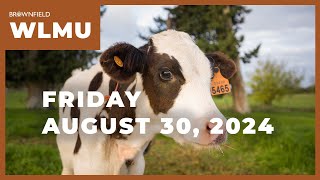 Live and feeder cattle futures higher for the week  Weekly Livestock Market Update [upl. by Nnahaid]