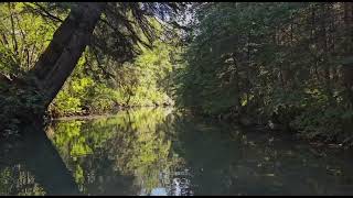 Slow boat to nowhere  Lagoon  Bowness Park  Calgary AB 20240901 [upl. by Azalea433]