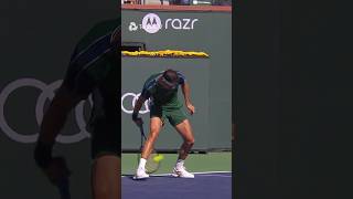 Dimitrov Hits FrontFacing Tweener vs Medvedev 🌭 [upl. by Lesli]