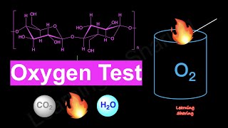 Oxygen Gas Test Glowing Splint Relight Support Burning Cellulose Carbon Dioxide Water Fire [upl. by Lehplar]