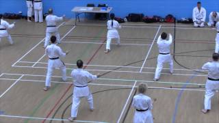 Kata Saifa performed to Own Timing GKR Grading 2015 [upl. by Ahsilyt598]