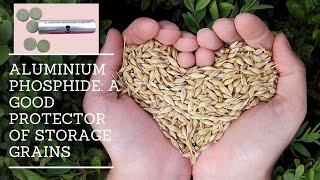 Grains Storage using Aluminium Phosphide Fumigant Uses Safety and Application [upl. by Niriam410]