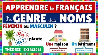 Le genre des noms  Féminin ou masculin  Français [upl. by Rebe]