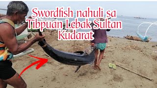 Malaking Swordfish o Malasugi nahuli sa Celebes Sea [upl. by Rust]